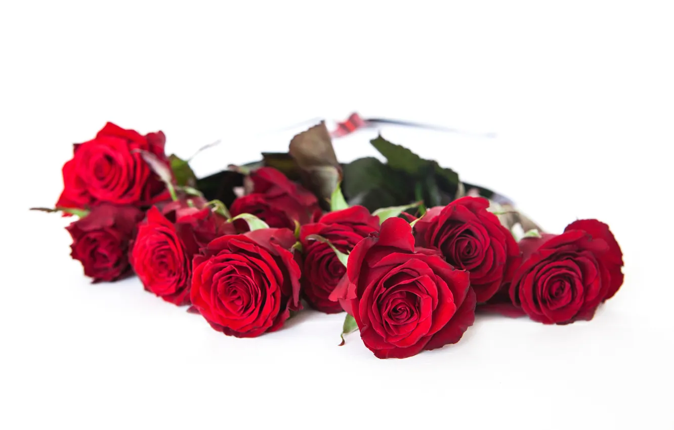 Фото обои розы, Цветы, букет, красные