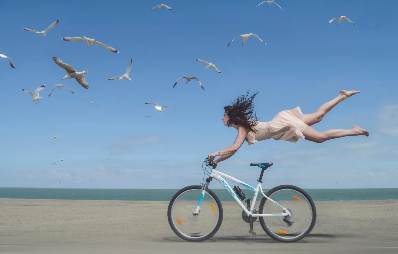 Фото обои девушка, велосипед, берег, чайки, скорость