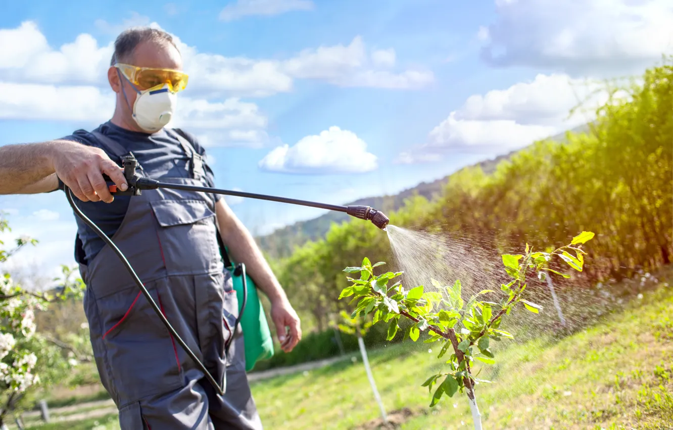 Фото обои man, sprayer, insecticide