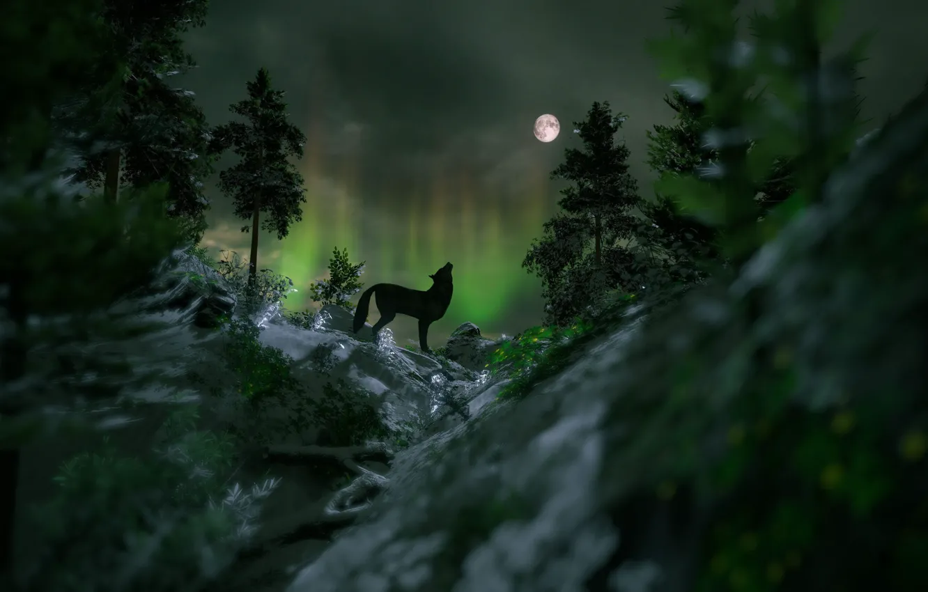 Фото обои лес, ночь, камни, рендеринг, луна, волк, северное сияние, ели