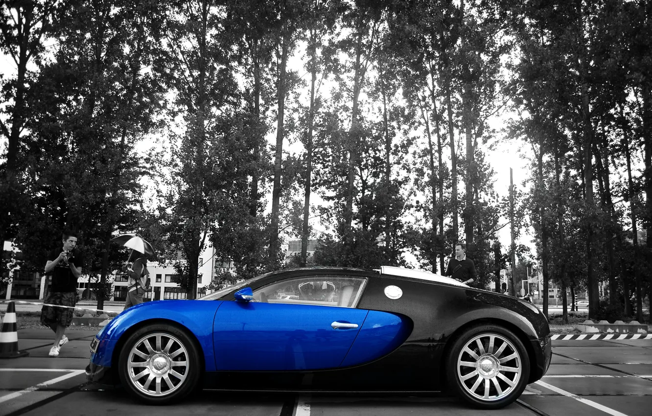 Фото обои цвета, Bugatti, контраст, Veyron