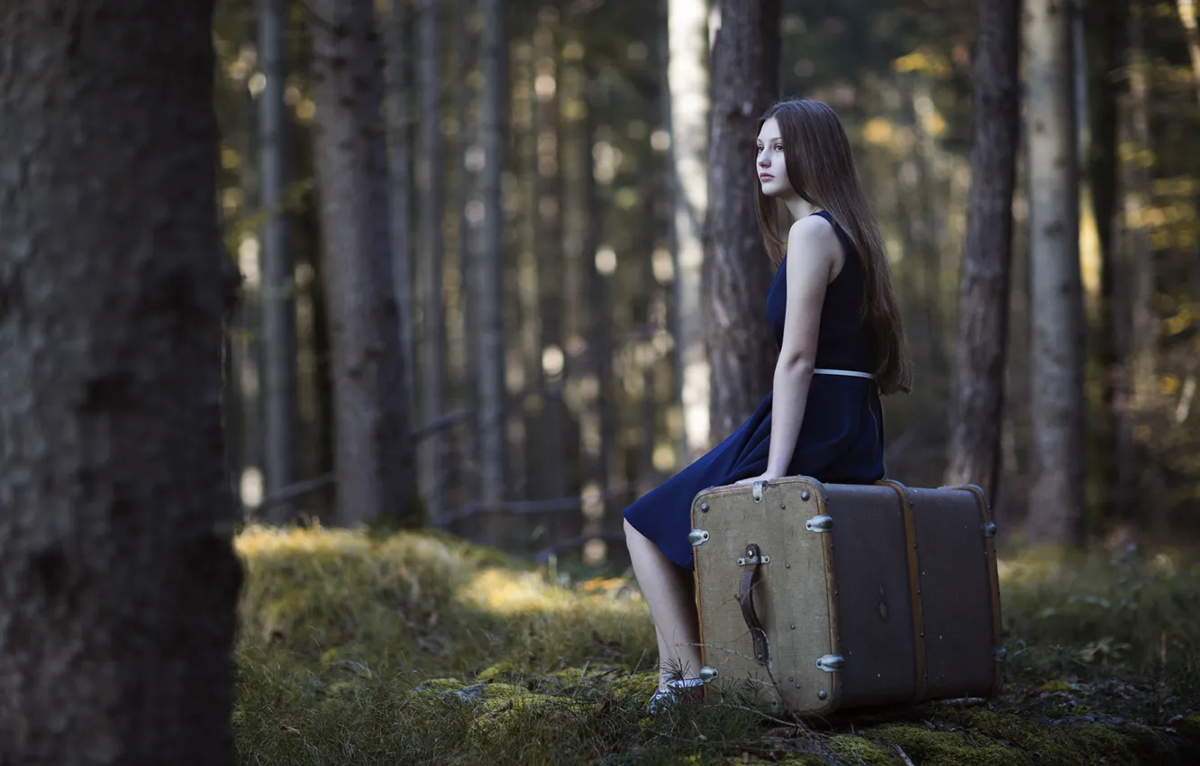 Фото обои лес, девушка, чемодан