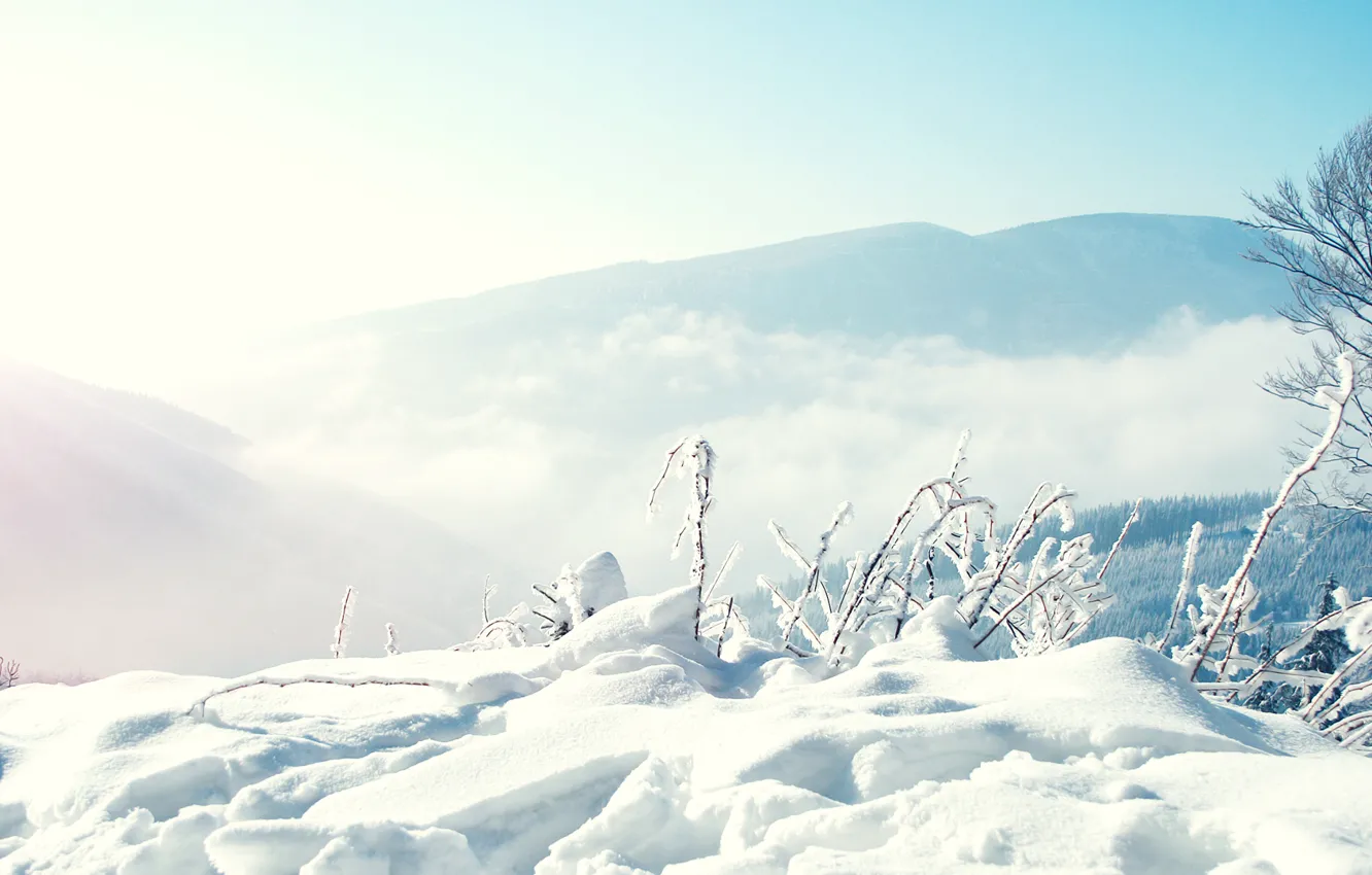 Фото обои снег, деревья, горы, туман, Природа, Зима, сугробы, погода