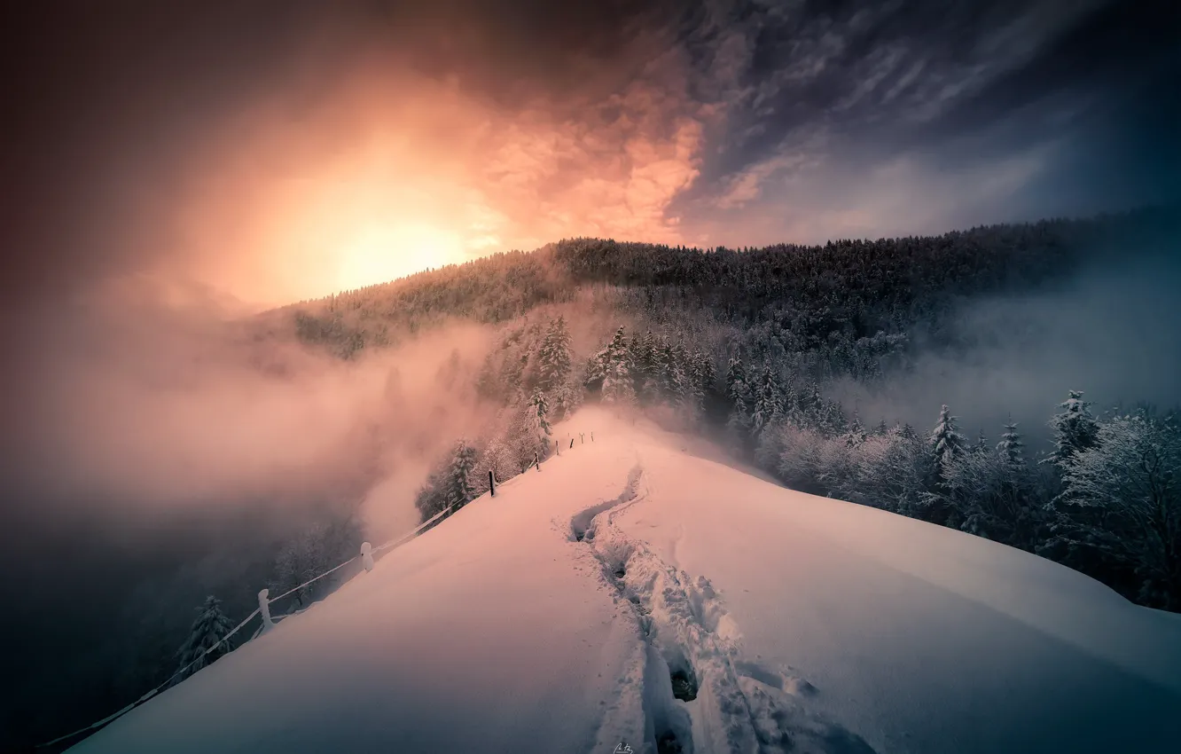 Фото обои зима, горы, туман