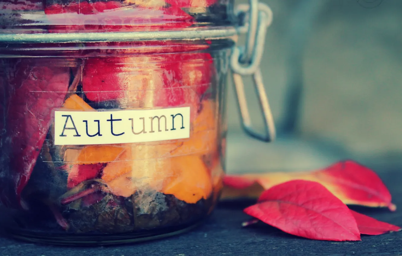 Фото обои осень, листья, надпись, баночка