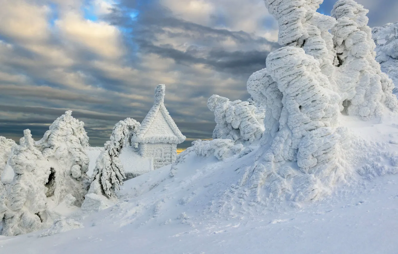 Фото обои зима, снег, Германия, Бавария, часовня Арбер