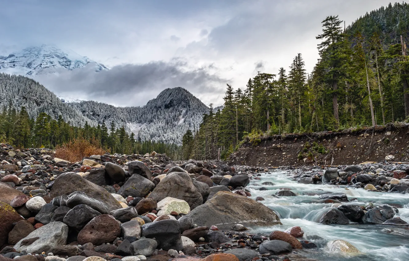 Фото обои Washington, Longmire, Mount Ranier