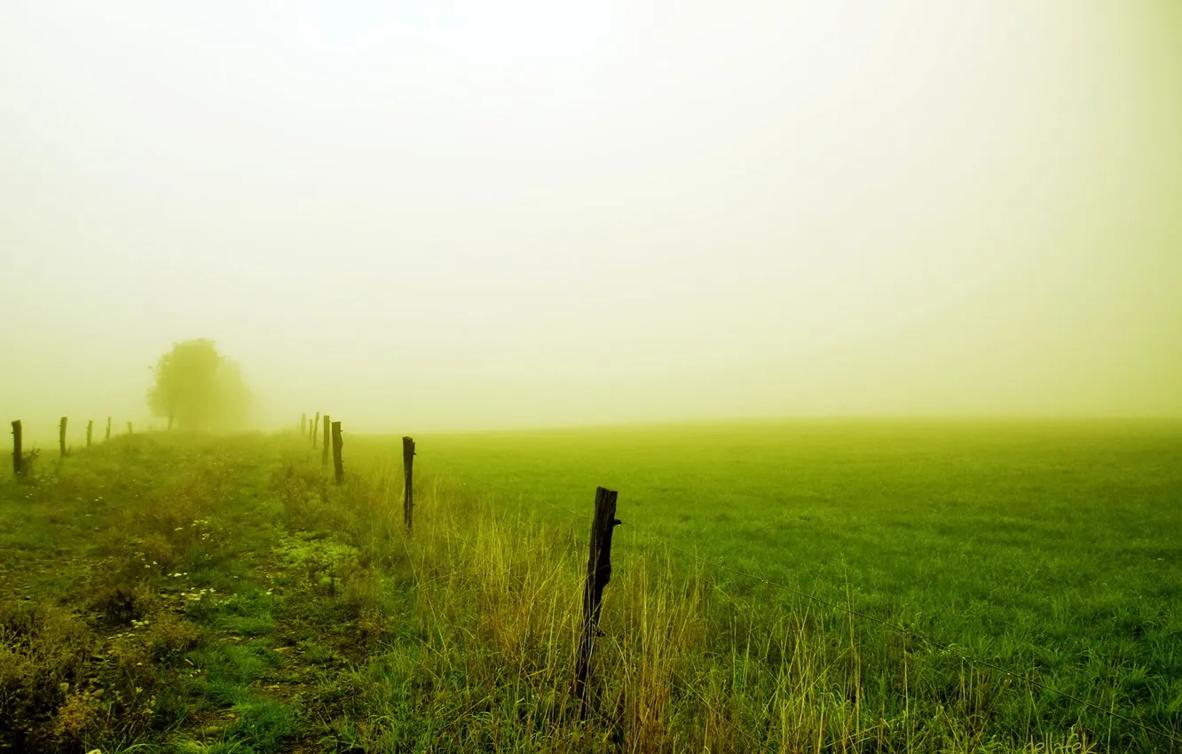 Фото обои поле, пейзаж, природа, туман, забор