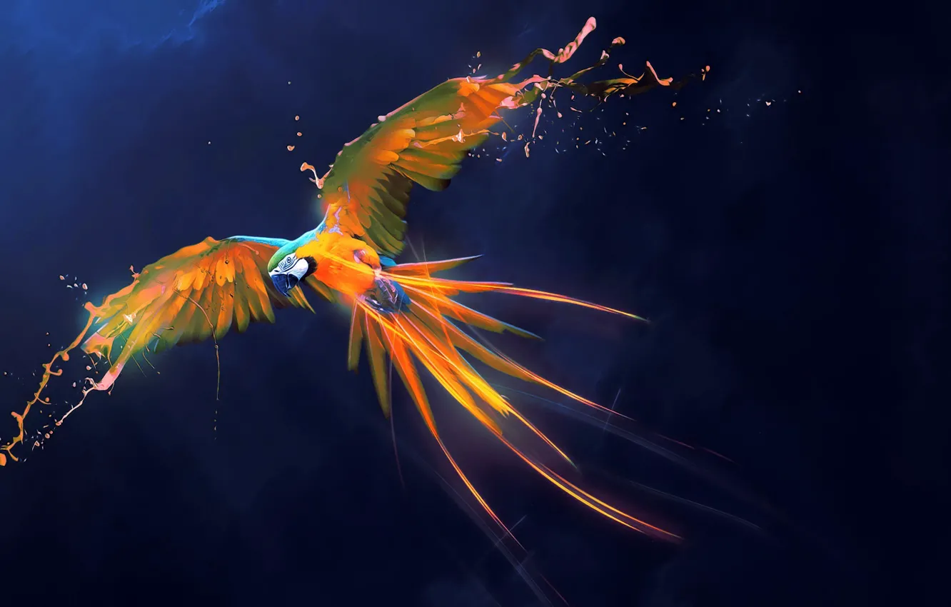 Фото обои абстракция, фон, птица, краски, крылья, перья, арт, попугай