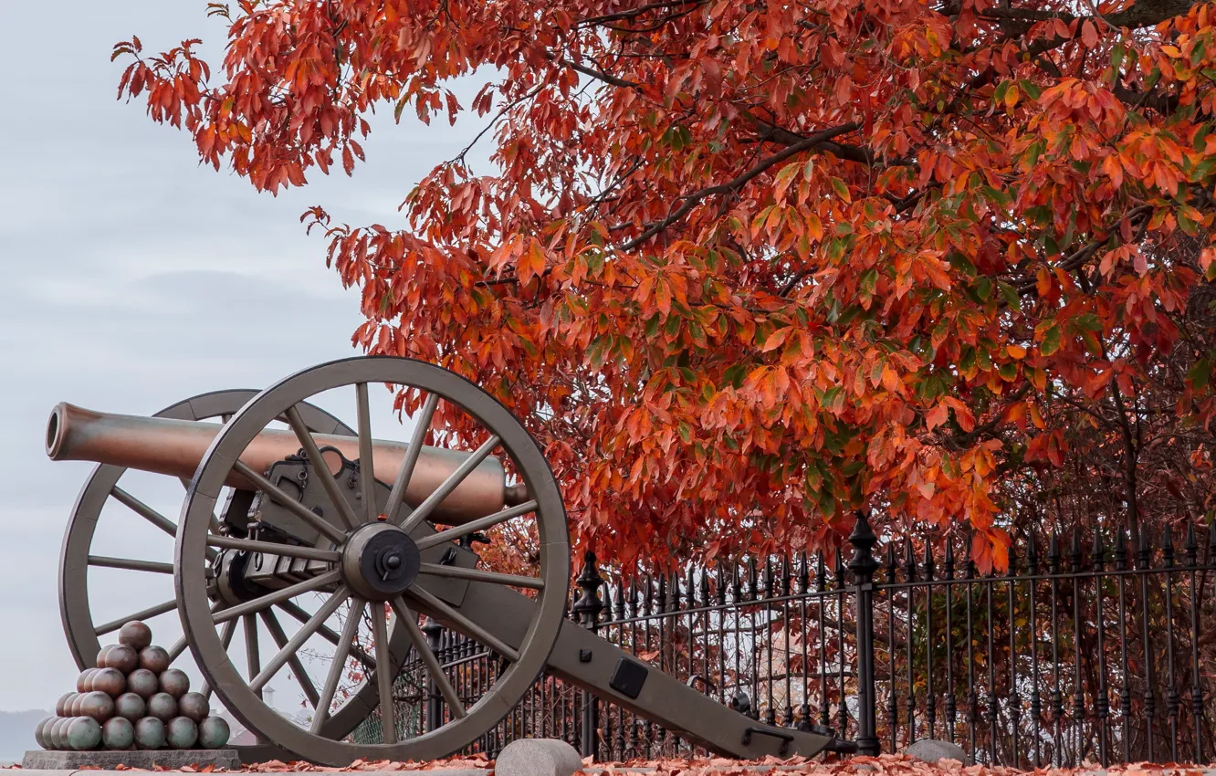 Фото обои пушка, Battlefield, Gettysburg