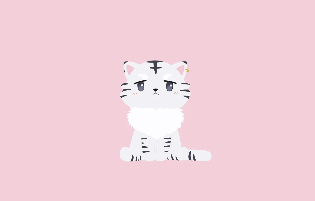 Фото обои кот, котик, минимализм, котёнок, Isekai wa Smartphone to Tomo ni