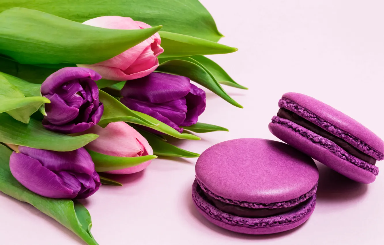 Фото обои цветы, букет, тюльпаны, flowers, tulips, purple, macarons, макаруны