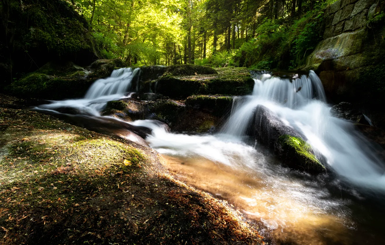 Фото обои лес, свет, камни, скалы, водопад