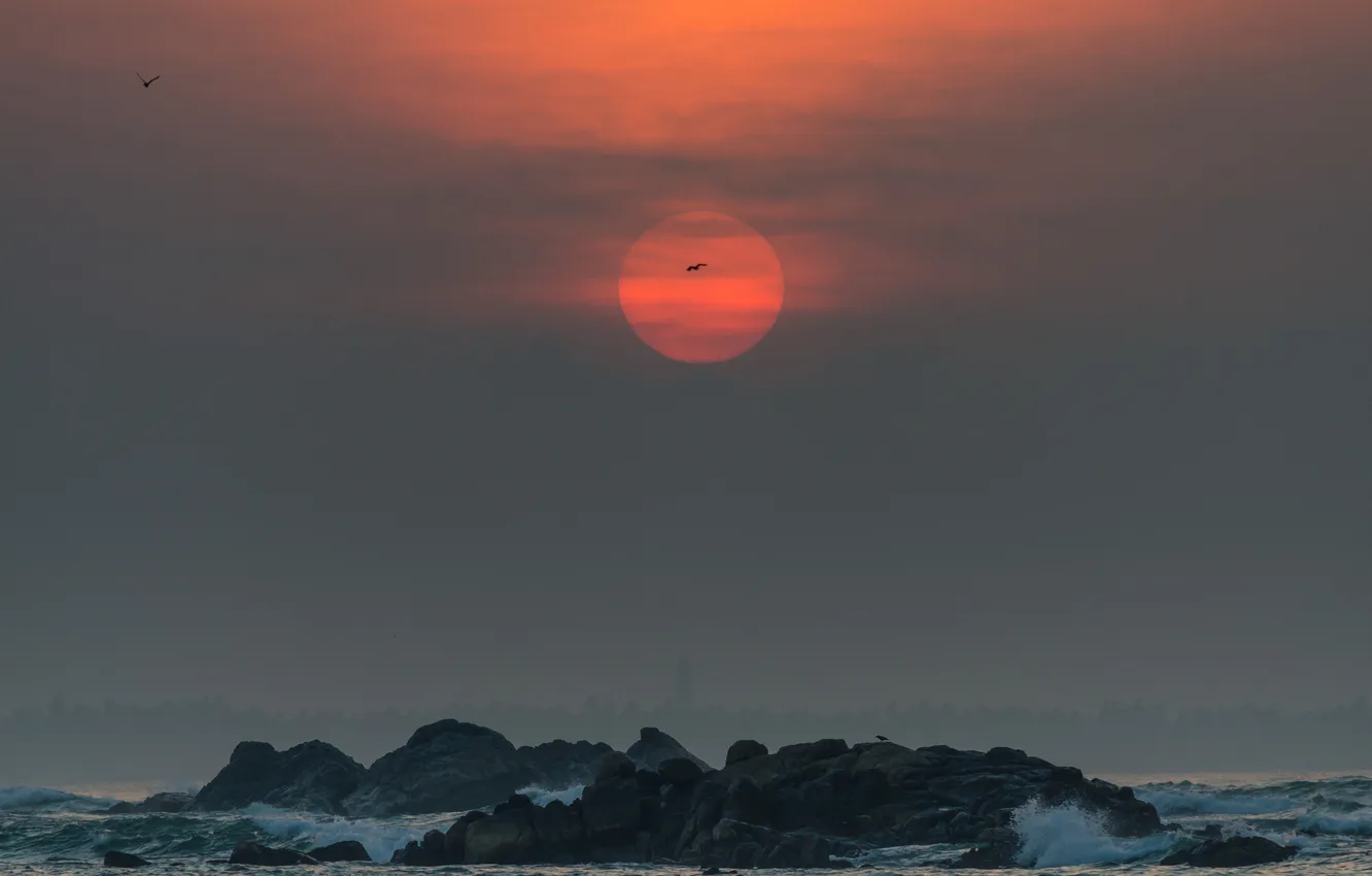 Фото обои море, облака, пейзаж, закат, камни, скалы, Шри-Ланка