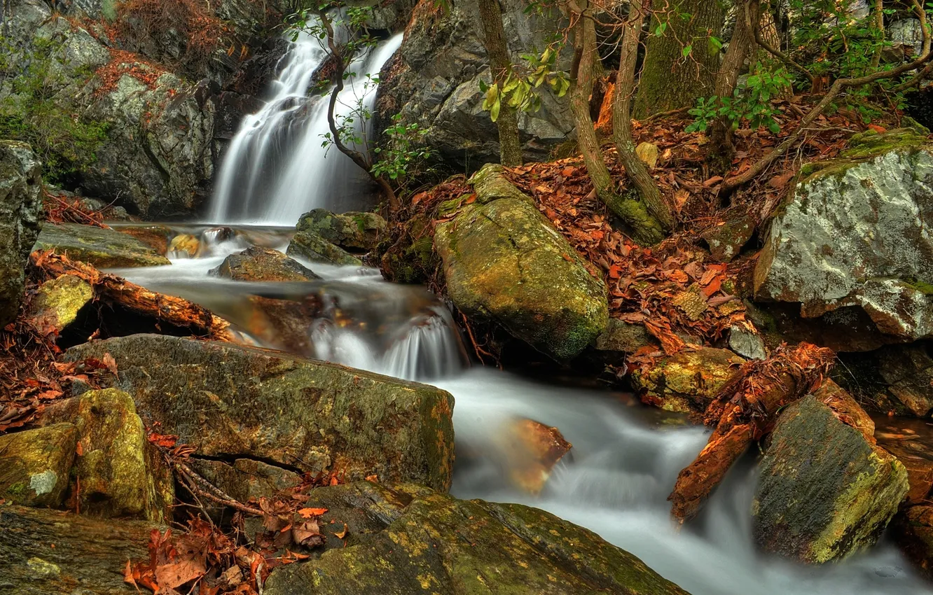 Фото обои осень, камни, водопад, речка
