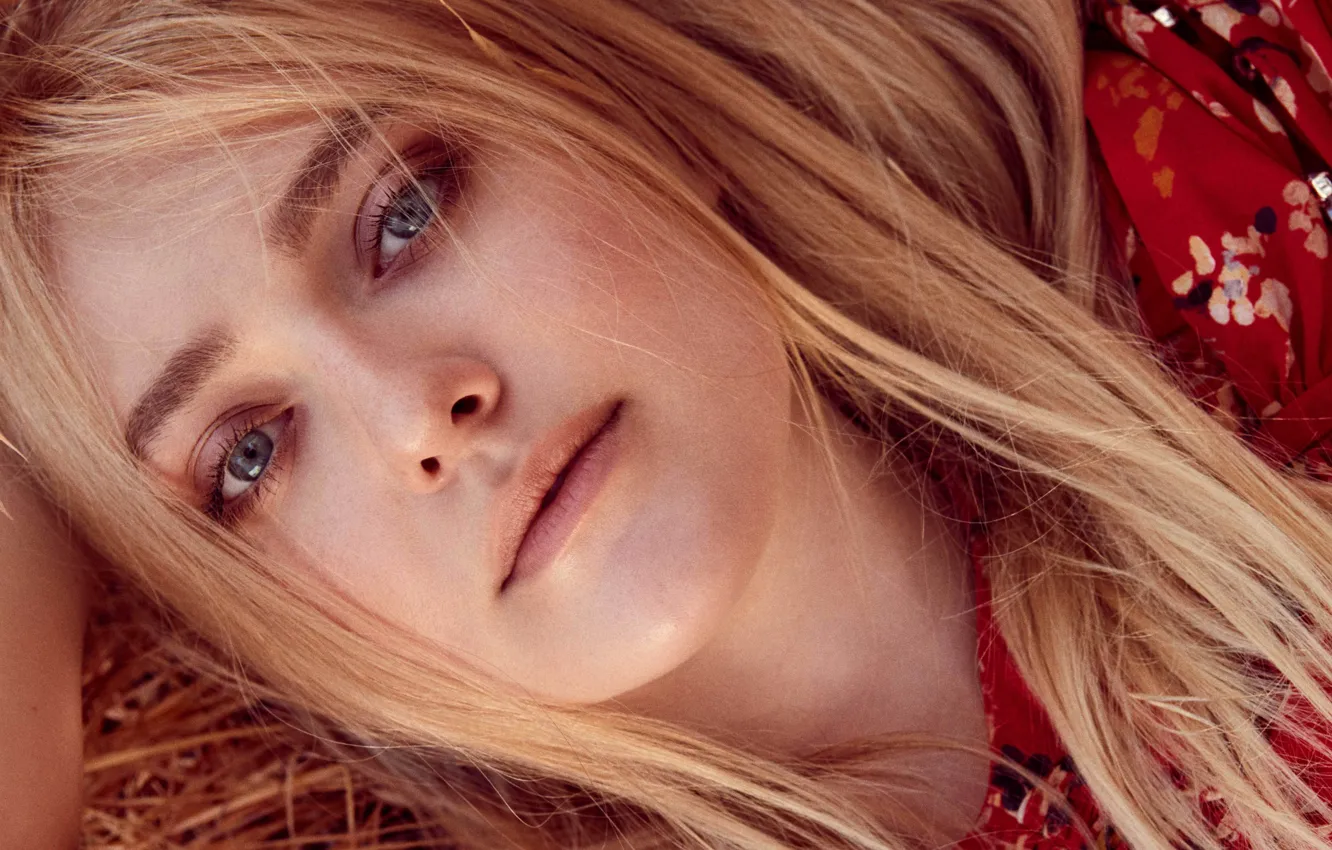 Фото обои лицо, портрет, актриса, Dakota Fanning