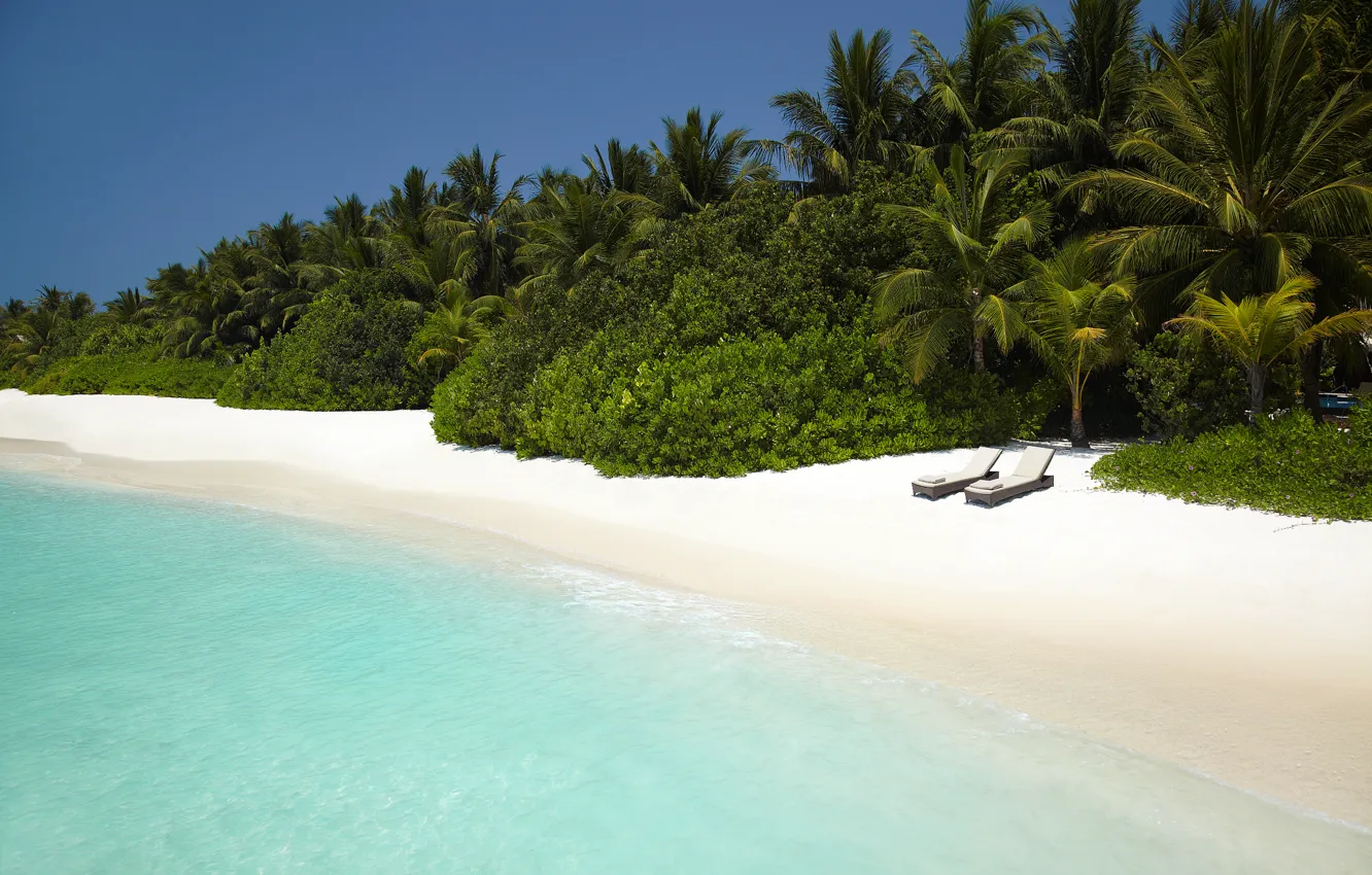 Фото обои песок, пляж, пальмы, Океан, кусты, лежаки