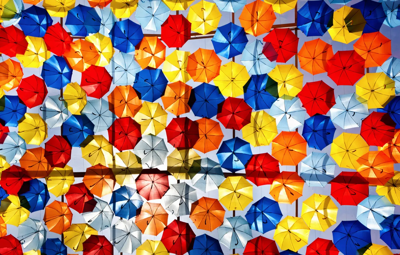 Фото обои зонтики, разноцветные, много