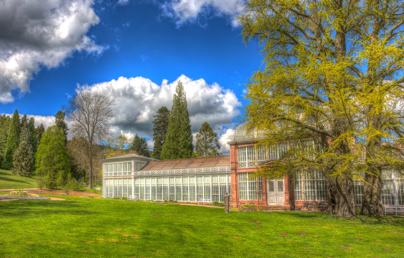 Фото обои облака, дерево, Schlosspark Wilhelmshöhe