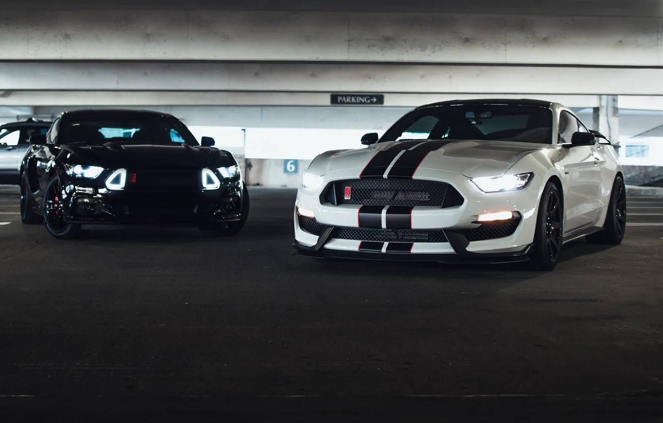 Фото обои Mustang, Ford, Black, Lights, White, Muscle Cars