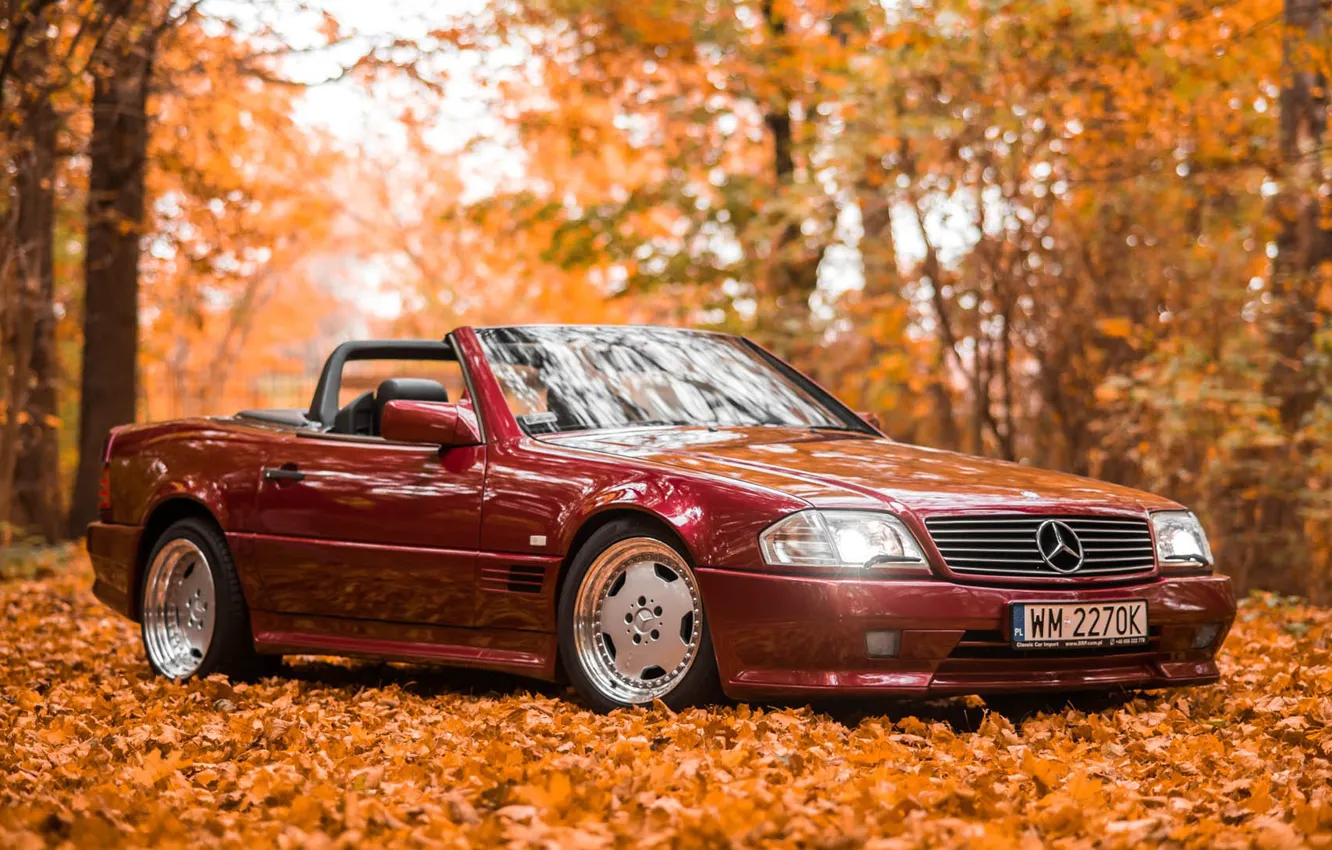 Фото обои AMG, Mercedes - Benz, SL500, R129