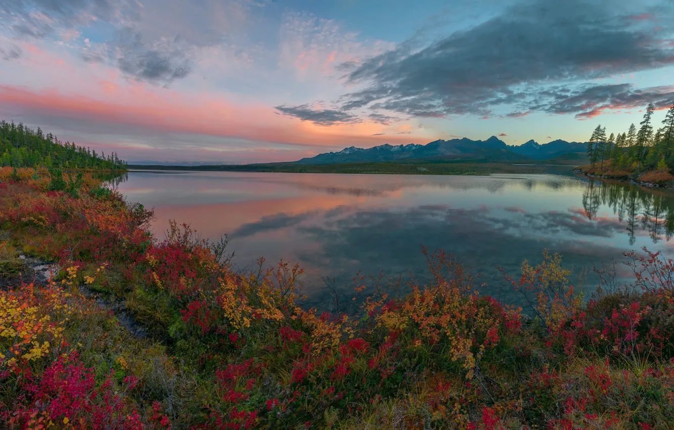 Фото обои пейзаж, закат, горы, природа, берег, растительность, Владимир Рябков, Колыма