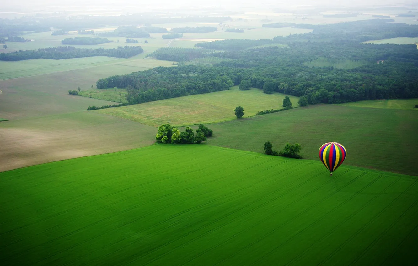 Фото обои поле, деревья, синий, желтый, красный, природа, воздушный шар, луг