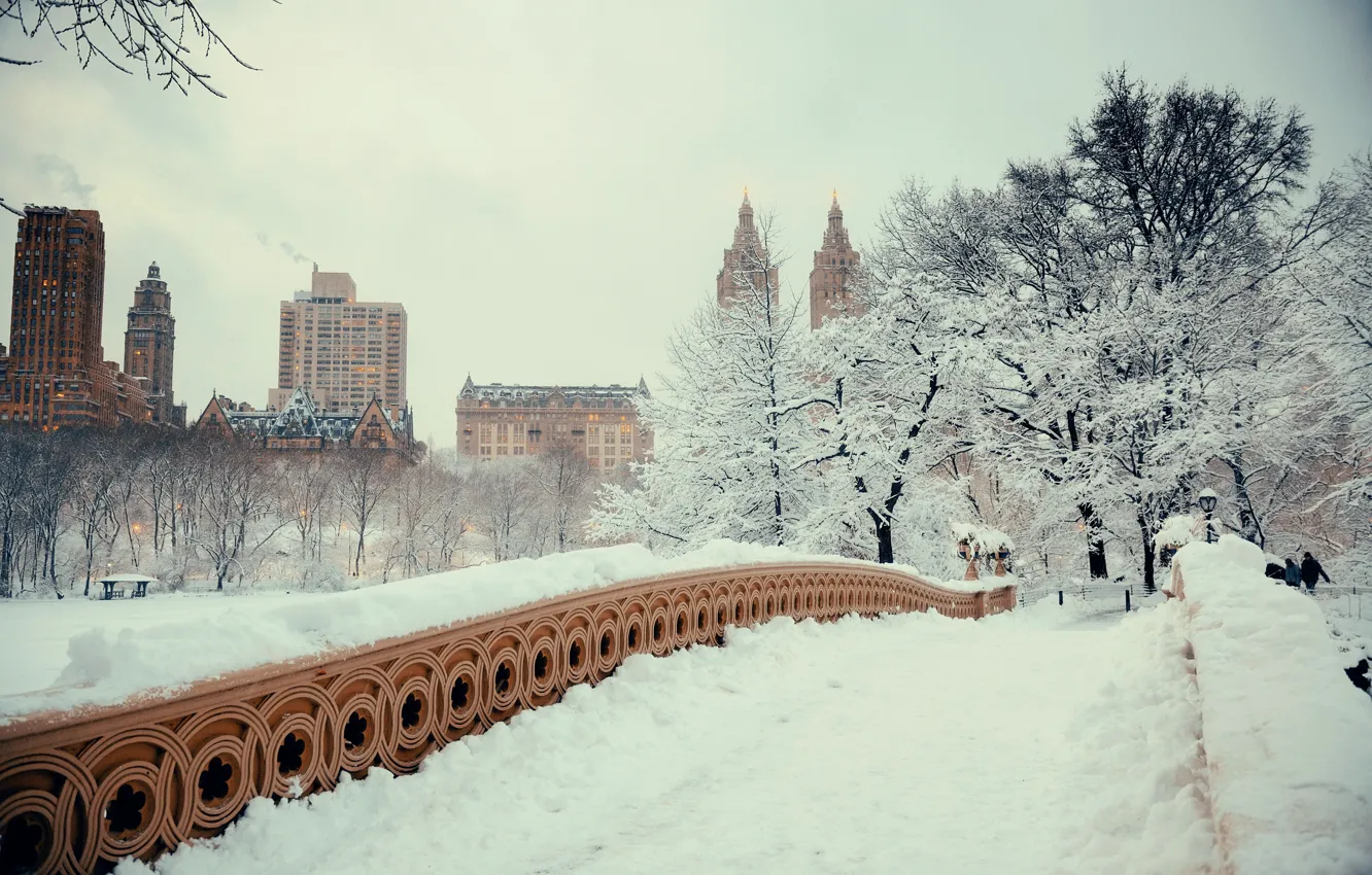 Фото обои зима, снег, деревья, мост, city, парк, landscape, bridge