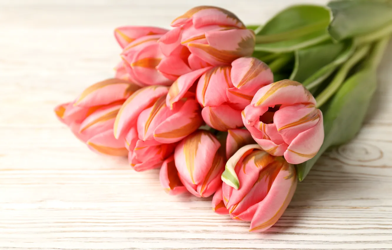 Фото обои цветы, букет, тюльпаны, pink, flowers, tulips, spring, bouquet