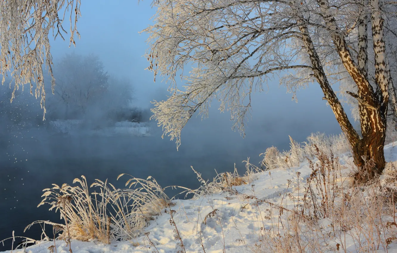 Фото обои зима, снег, пейзаж, природа, туман, река, берёза