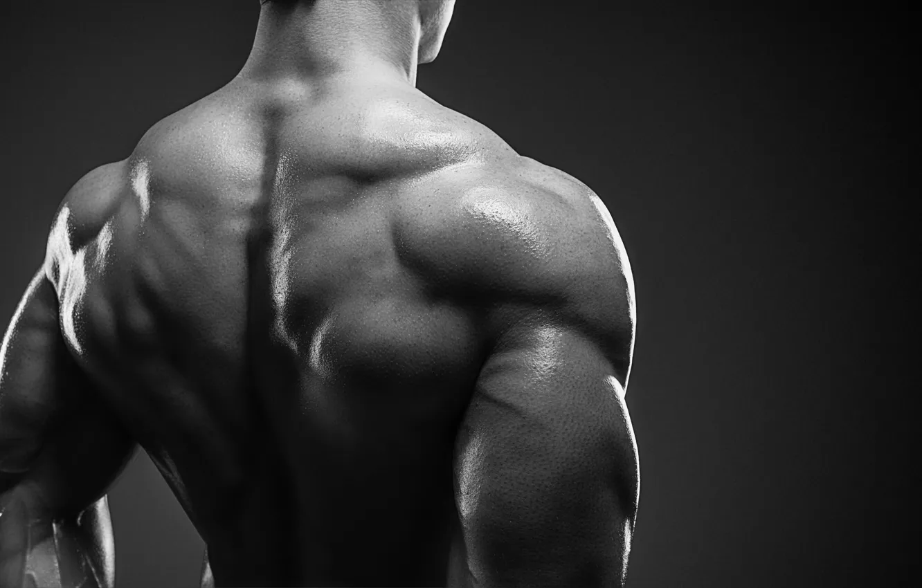 Фото обои bodybuilder, muscle mass, back muscles