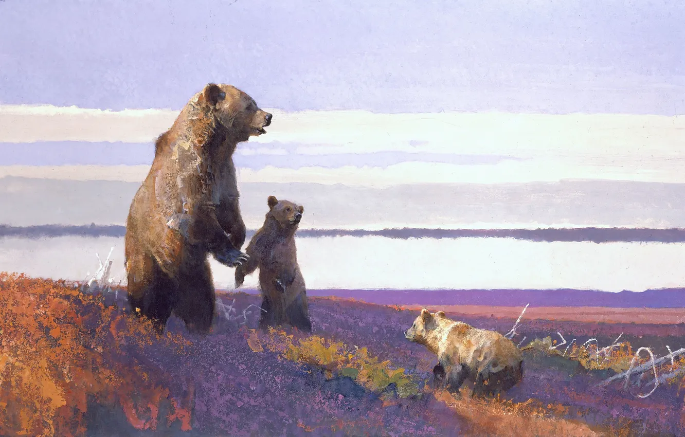 Фото обои животные, картина, медведи, арт, медвежата, медведица, Bob Kuhn