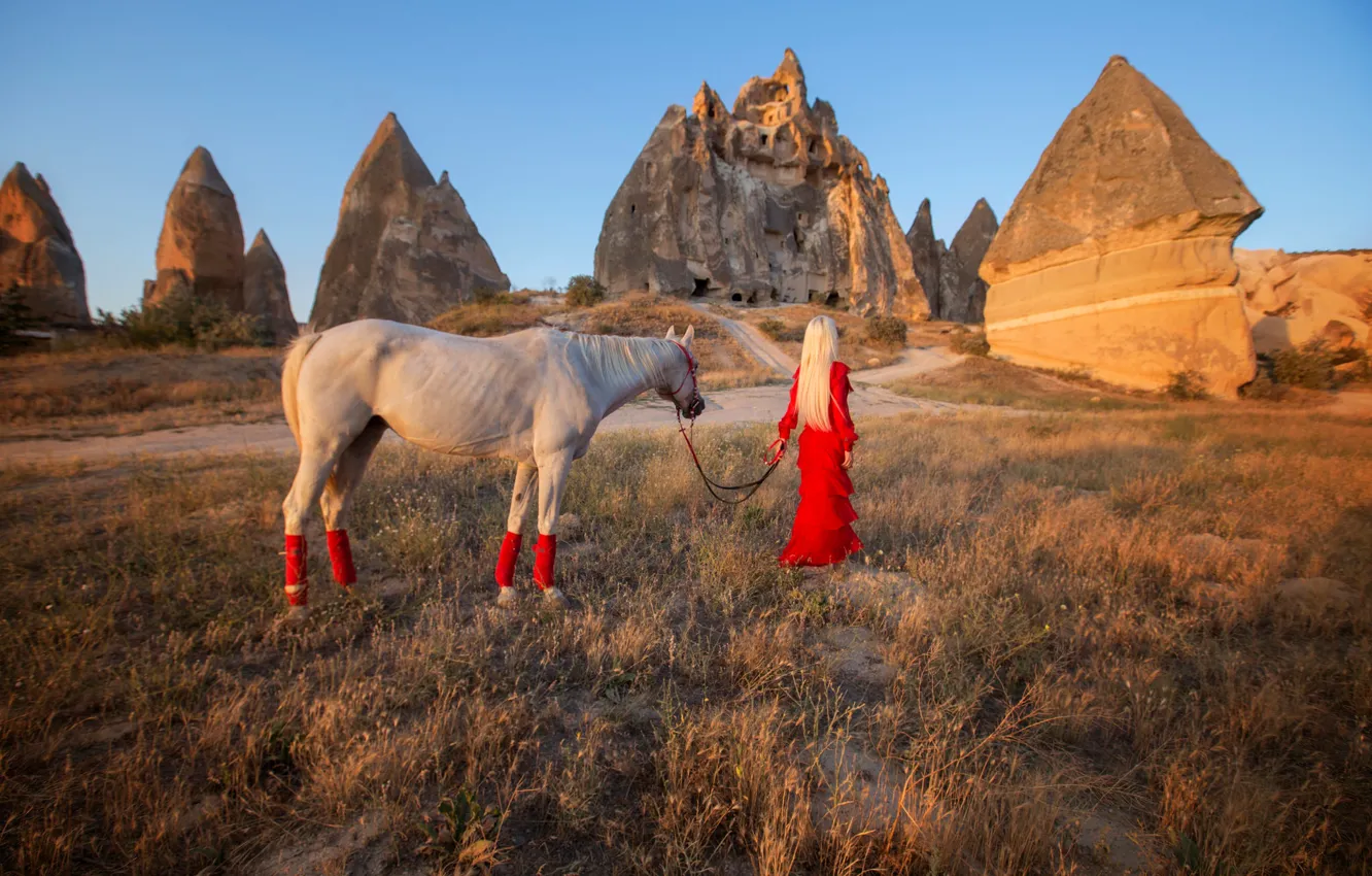 Фото обои девушка, настроение, скалы, лошадь, красное платье