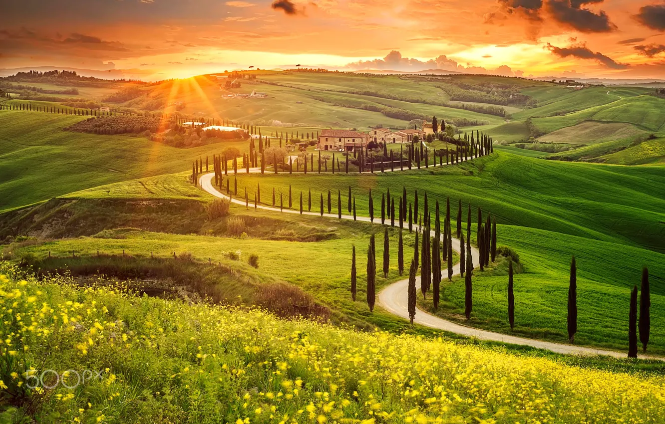 Фото обои солнце, долина, Италия, Тоскана, диревья