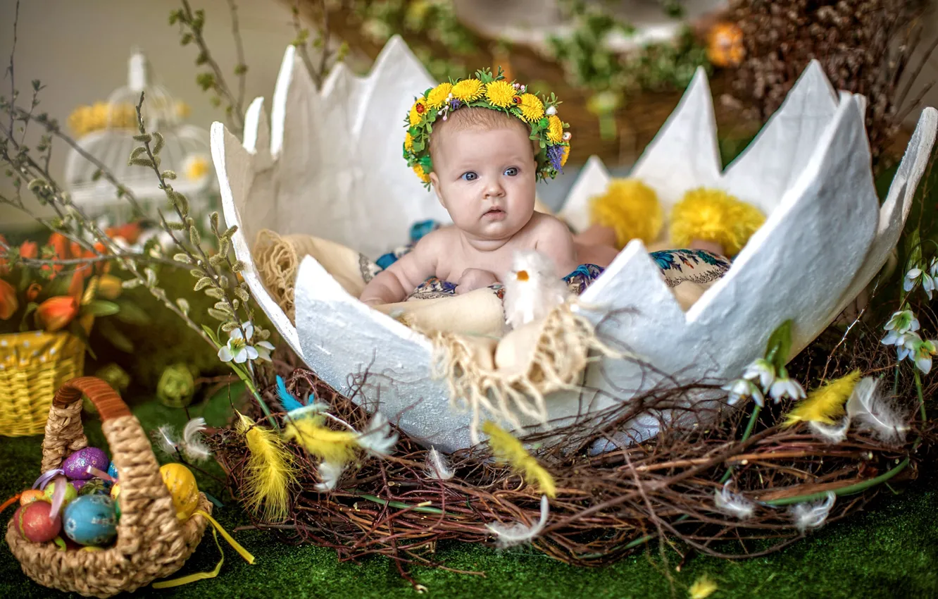 Фото обои яйцо, ребенок, Пасха, гнездо, верба, младенец, крашенки