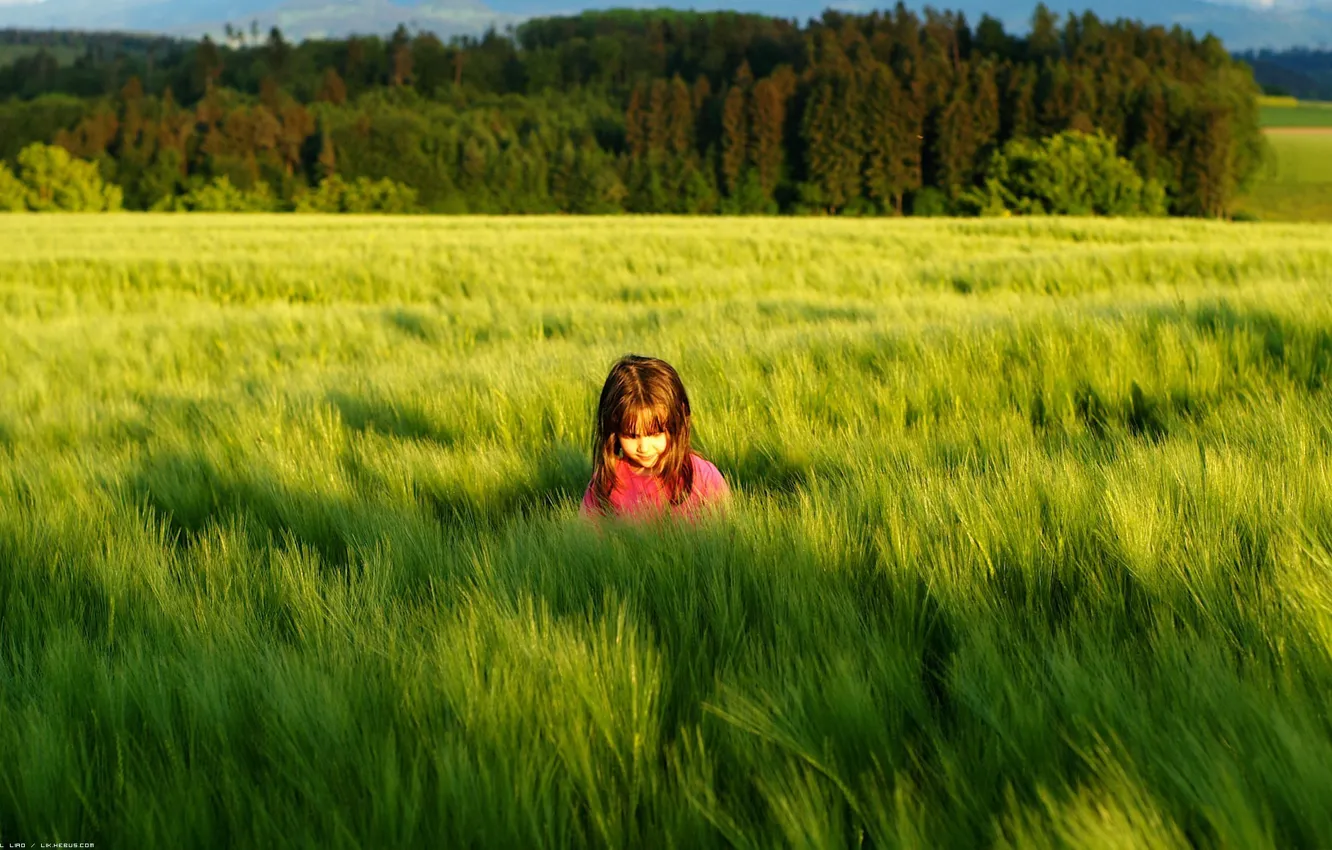 Фото обои зелень, трава, солнце, дети, фон, настроения, тень, луг