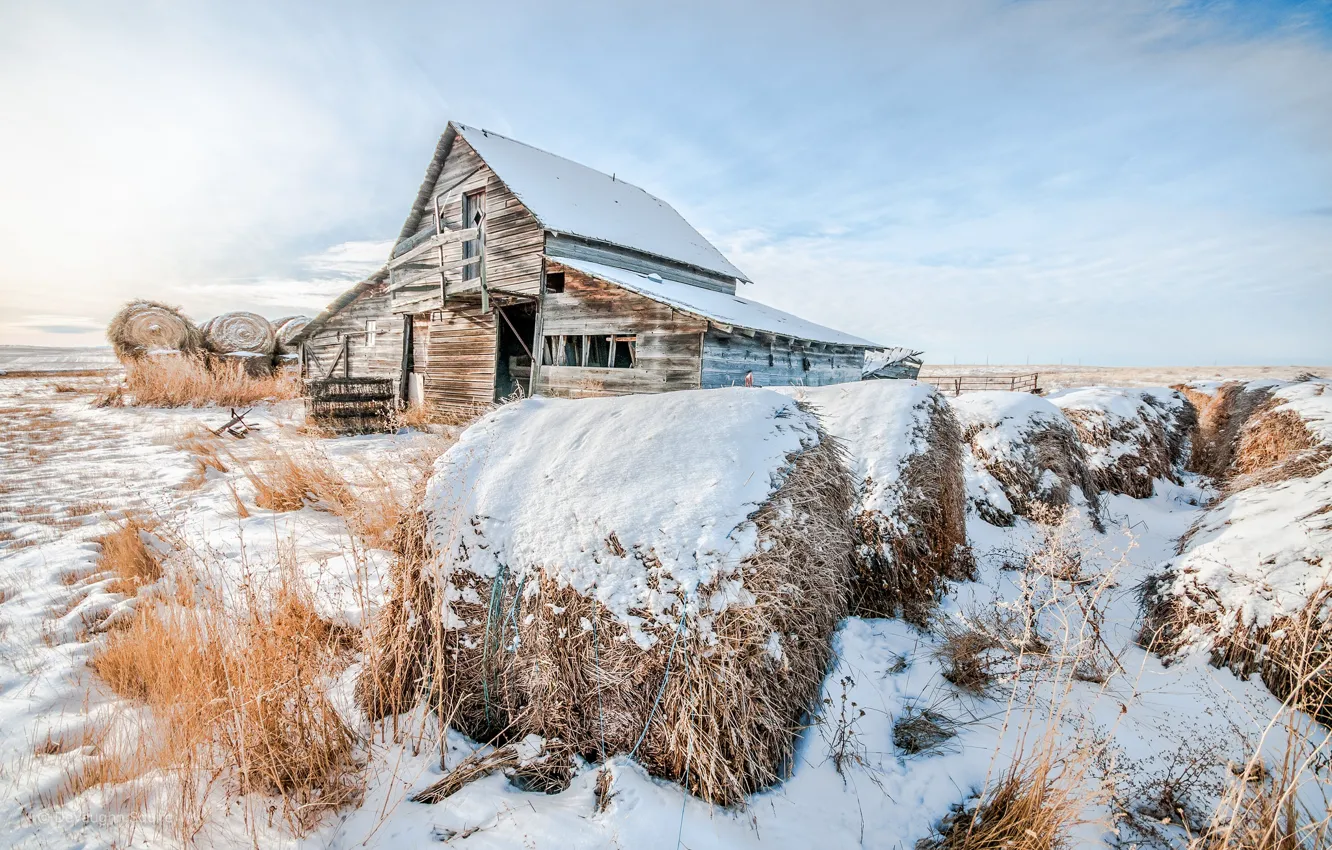 Фото обои зима, снег, дом, сено