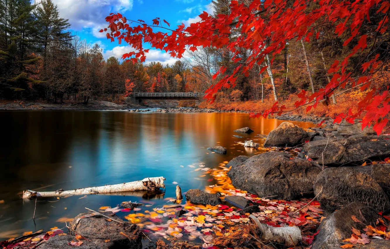 Фото обои Autumn, Beauty, Lake