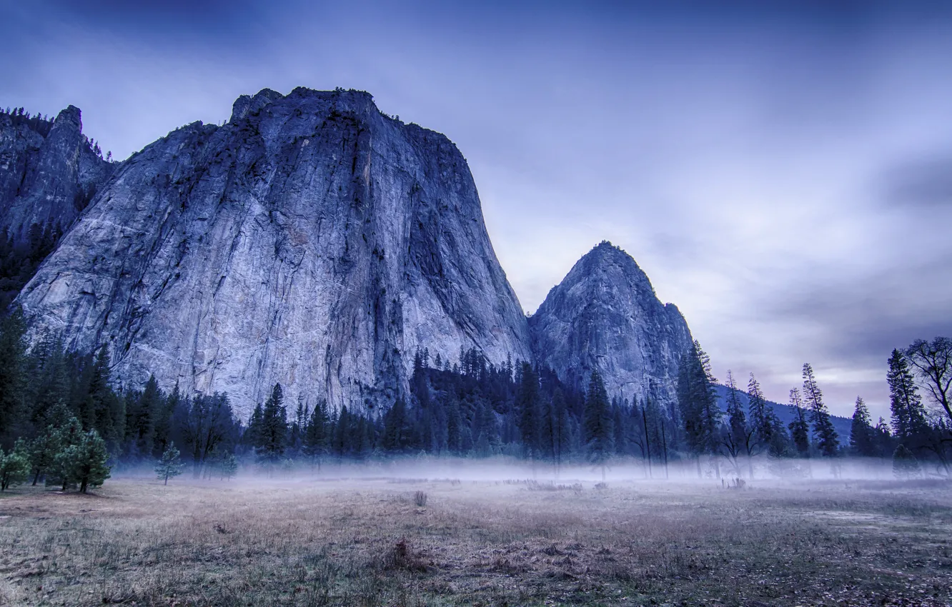 Фото обои деревья, пейзаж, горы, природа, туман, USA, США, Йосемити