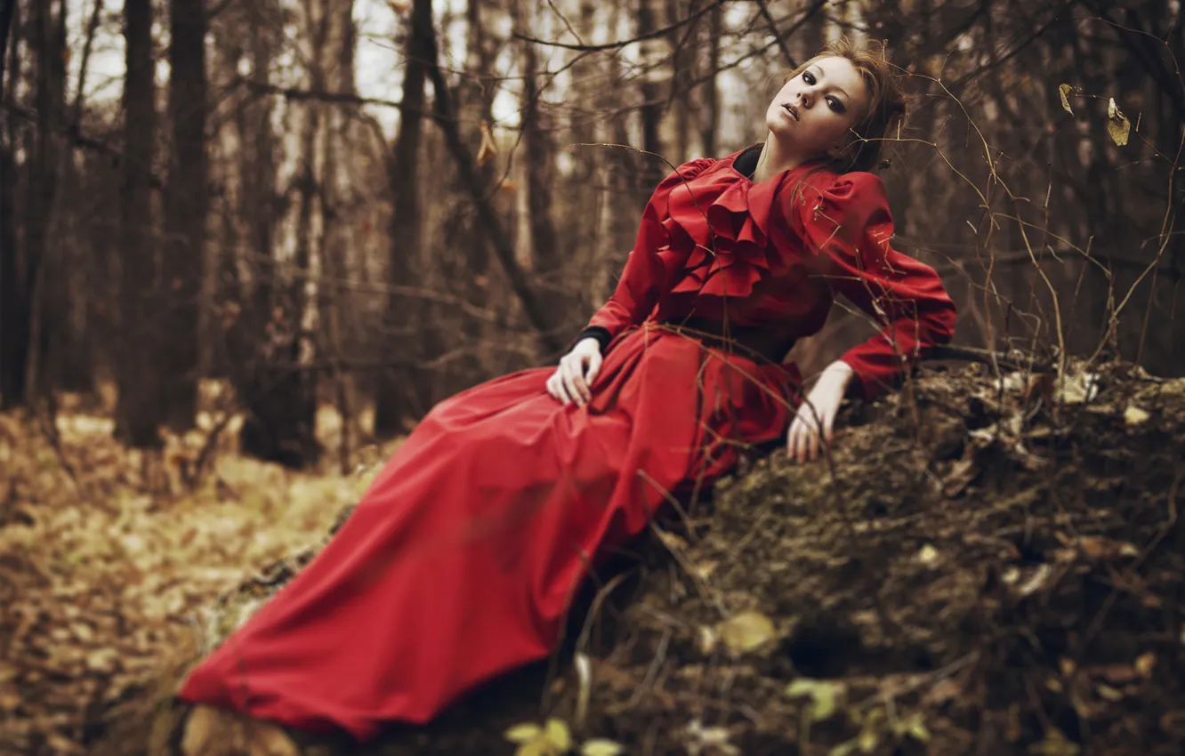 Фото обои лес, девушка, поза, красное, платье