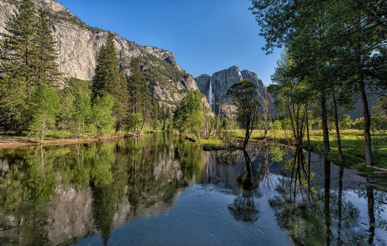 Фото обои лес, горы, река, долина, Калифорния, California, Национальный парк Йосемити, Yosemite National Park