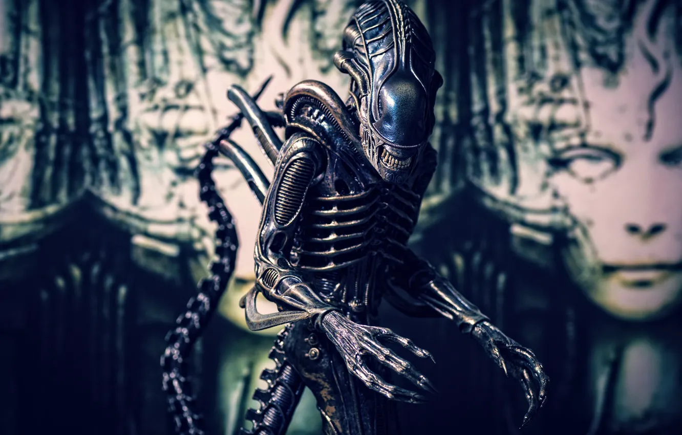 Фото обои фон, игрушка, Чужой, статуэтка, Alien, тварь
