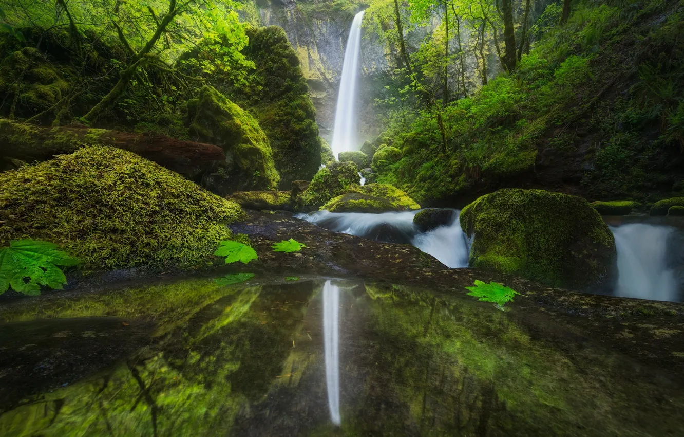 Фото обои лес, природа, отражение, река, водопад