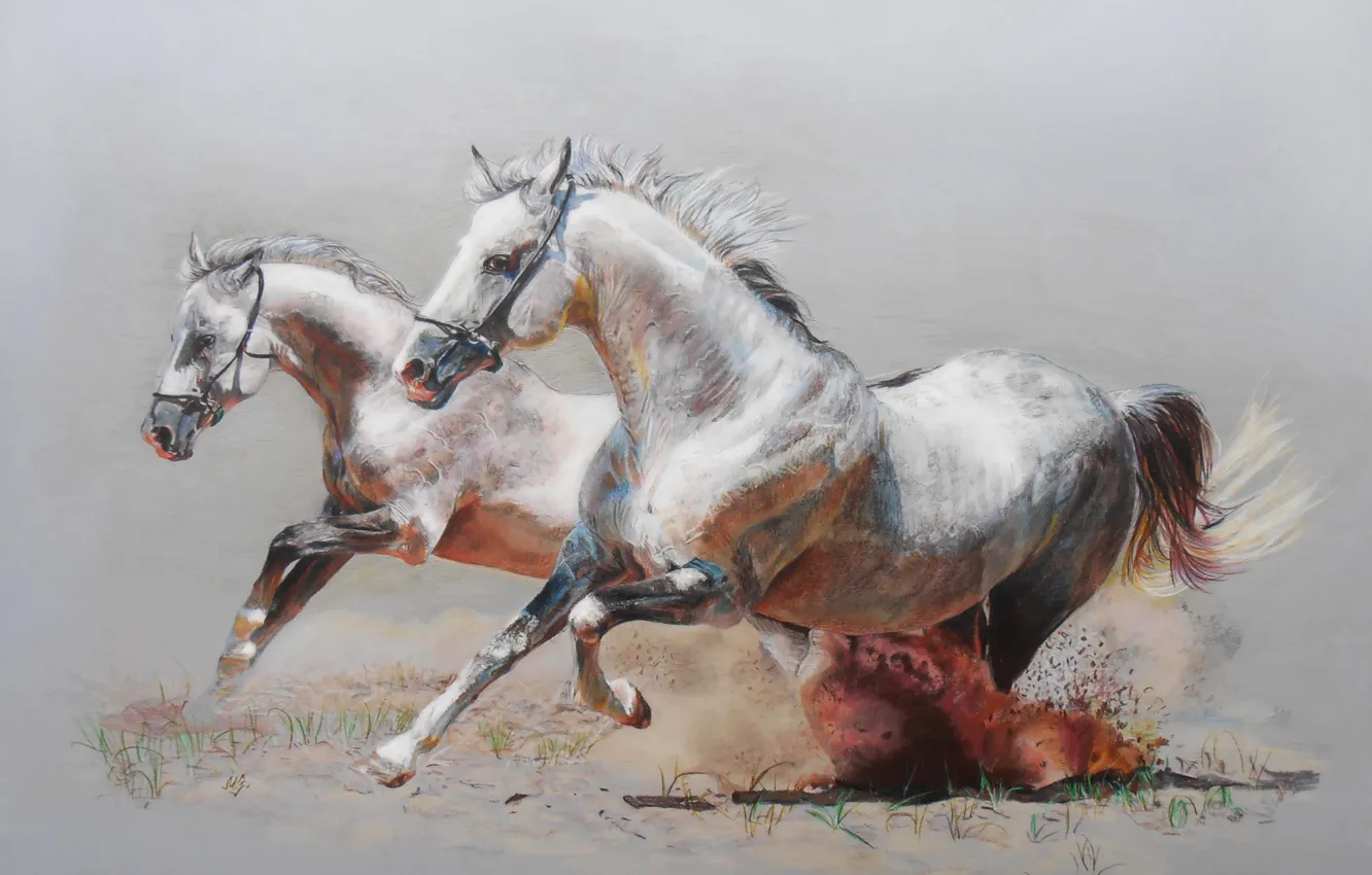 Фото обои рисунок, кони, пыль, лошади, бег, пара