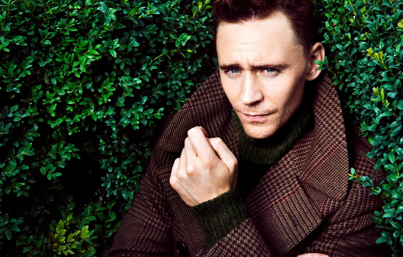 Фото обои зелень, актер, мужчина, пальто, кусты, Tom Hiddleston, Том Хиддлстон