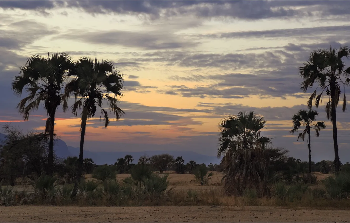 Фото обои пейзаж, природа, красота, вечер, Африка, nature, beautiful, Africa