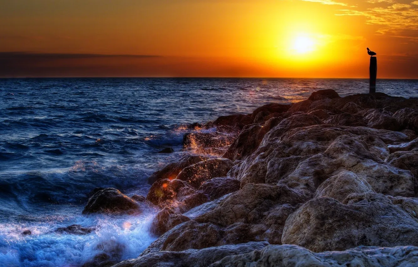 Фото обои море, волны, солнце, брызги, камни, берег