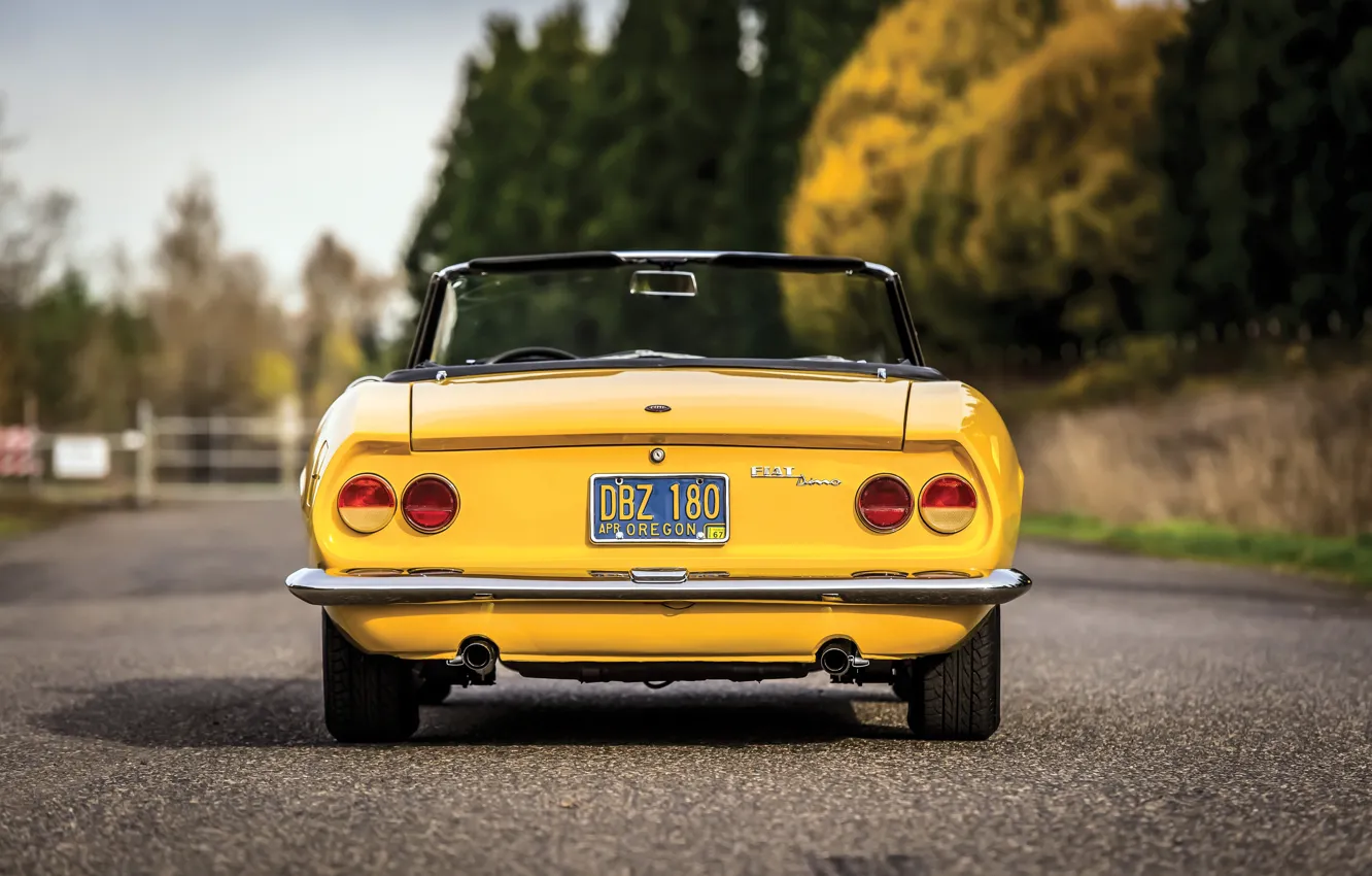 Фото обои rear, Fiat, Dino, Fiat Dino Spider