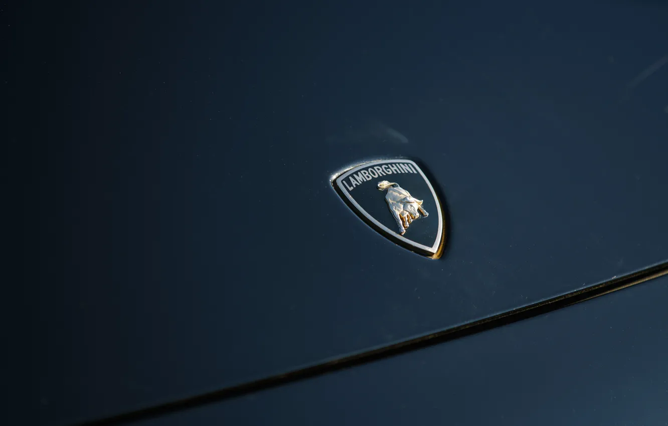 Фото обои Lamborghini, logo, Gallardo, lambo, bull, Lamborghini Gallardo, badge