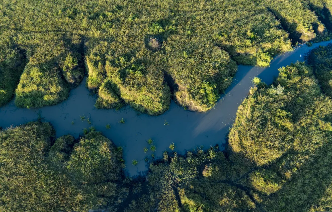 Фото обои трава, природа, река, ручей, растение, вид сверху, рельеф